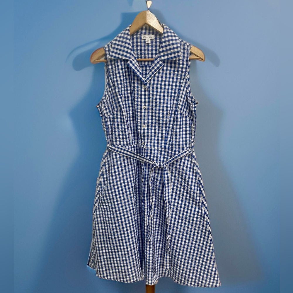 Chloe + Rene gingham sleeveless front/back tie dress.